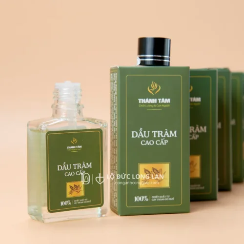 Dầu Tràm Dòng Thánh Tâm Huế – Kế Thừa Bí Quyết Truyền Thống, Chăm Sóc Sức Khỏe Từ Tâm